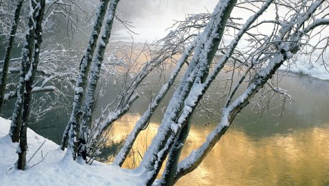Деревья, вода, река, снег, берег, склон