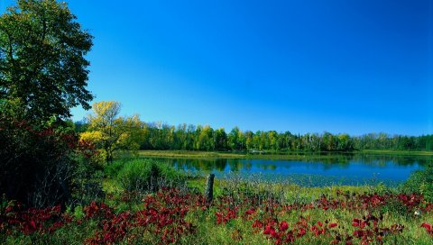 Цвета, краски, ранняя осень, деревья, озеро, зелень
