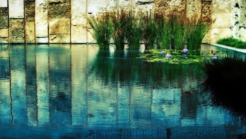 Стена, трава, вода, отражение, камни