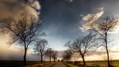 Дорога, деревья, поля, облака, небо