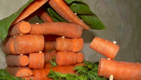 Морковь, корнеплоды, верхушки овощей, домик, изделия ручной работы