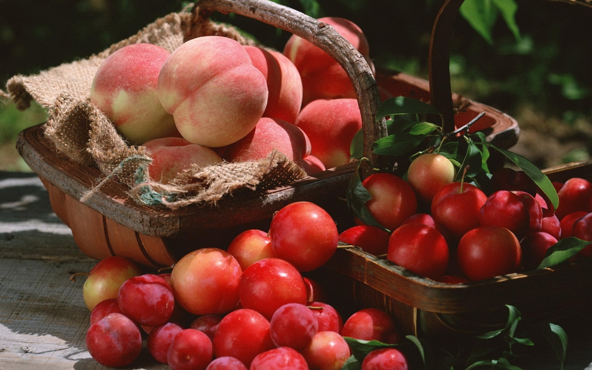 Картинки Персики, сливы, фрукты, ягоды, свежие, корзина фото и обои на рабочий стол