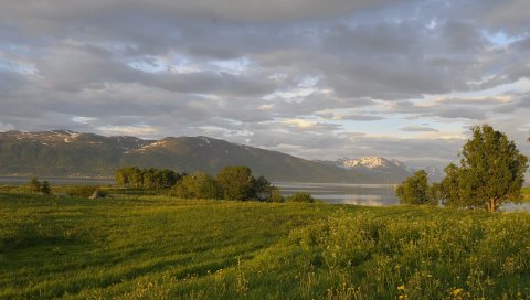 Зелень, лето, трава, деревья, облака, небо, побережье