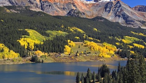Горы, деревья, елки, осень, цветы, зеленый, желтый, вода