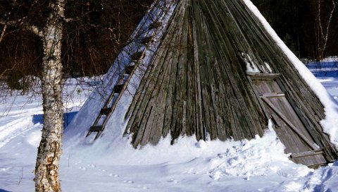 Структура, дерево, лестница, снег, следы