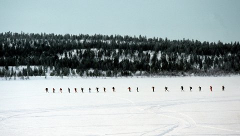 Лыжники, туристы, номер, снег, путешествия, лес, деревья