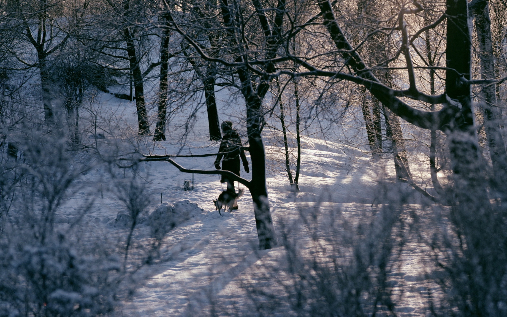 Женщина вдалеке в лесу зимой