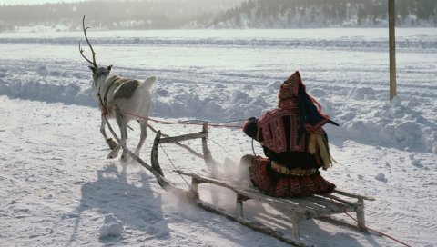 Северный полюс, эскимос, сани, олени, транспорт, снег