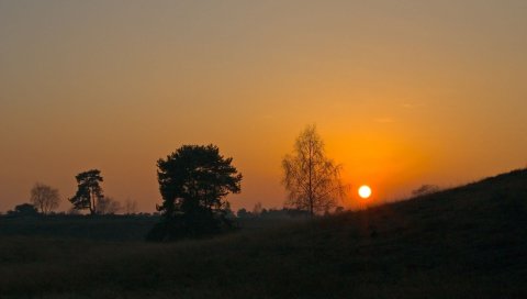 Падение, солнце, склон, деревья, трава