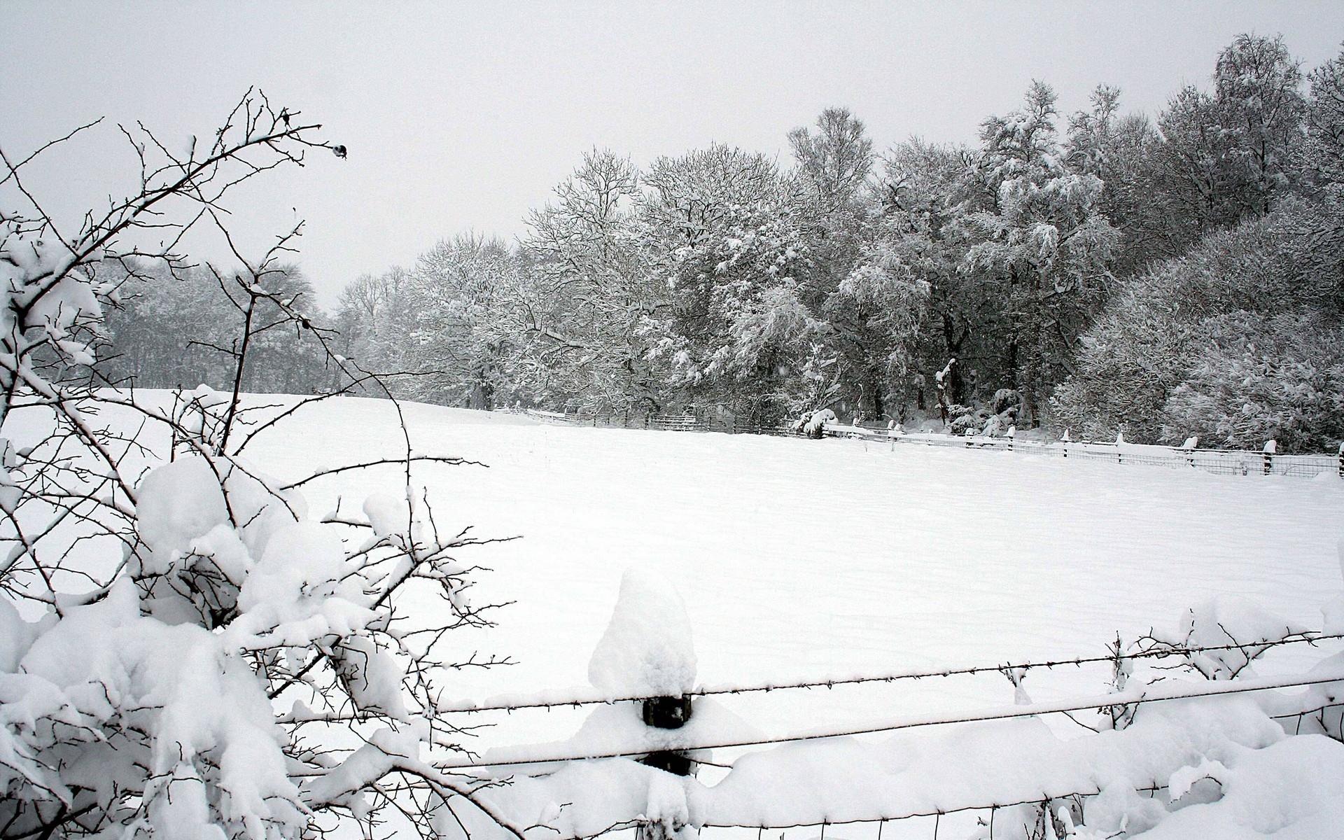 Картинки Снег, зима, парк, забор, деревья, сугробы фото и обои на рабочий стол