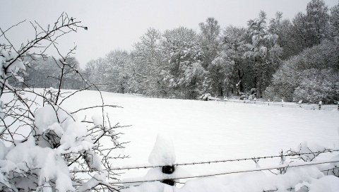 Снег, зима, парк, забор, деревья, сугробы