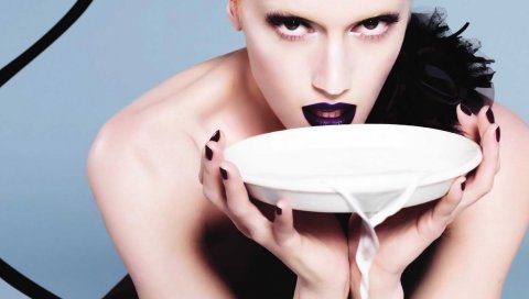 Gwen stefani, тарелка, молоко, помада, изображение