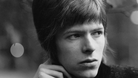 David bowie, лицо, волосы, стрижка, фокус