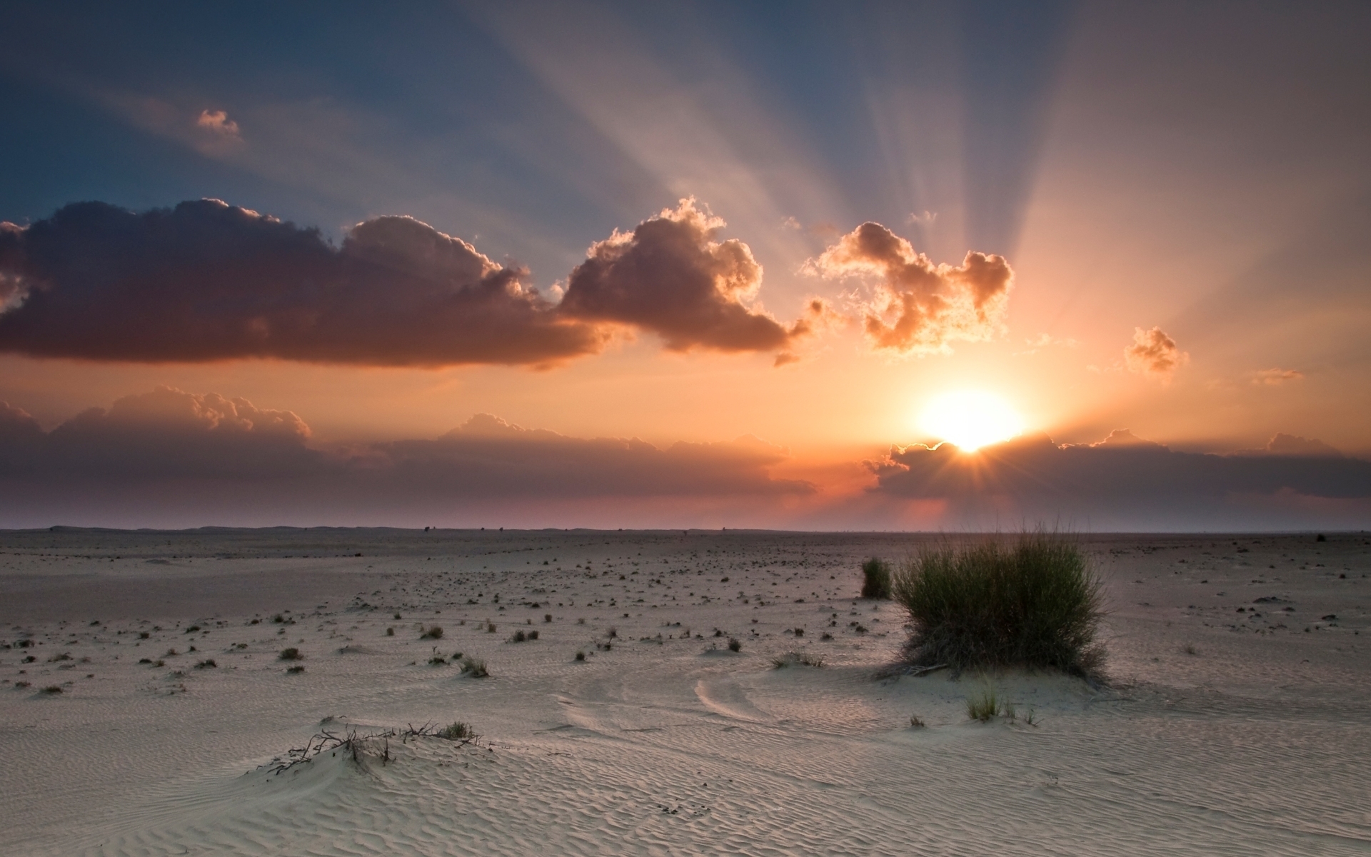 Картинки Пустыня, закат, солнце, куст, небо фото и обои на рабочий стол