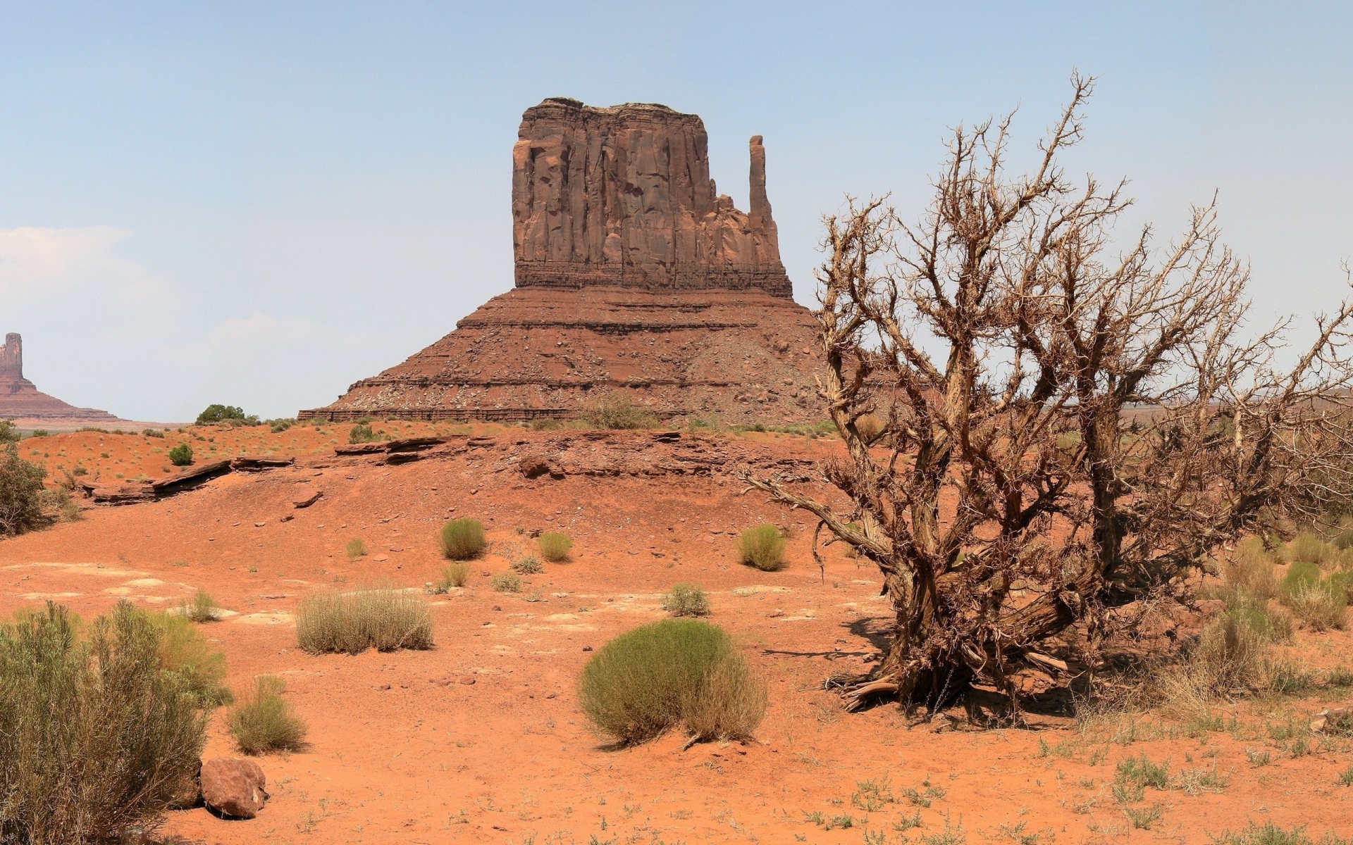 Прерии северной америки фото