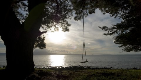 Качели, дерево, берег, озеро