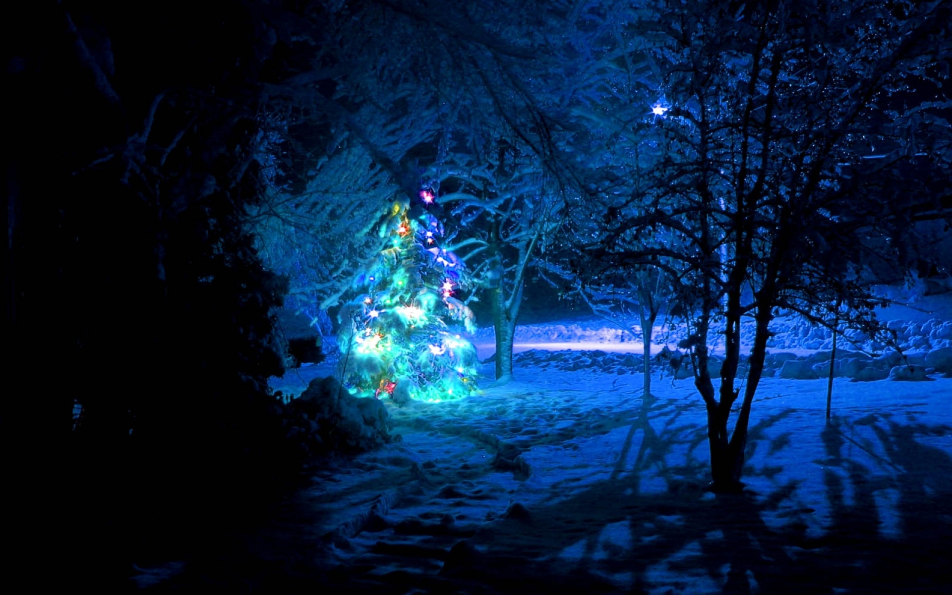 Картинки Елка, снег, дерево, новый год, рождество, гирлянды фото и обои на рабочий стол
