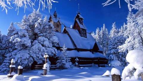 Дом, дерево, деревья, снег, зима