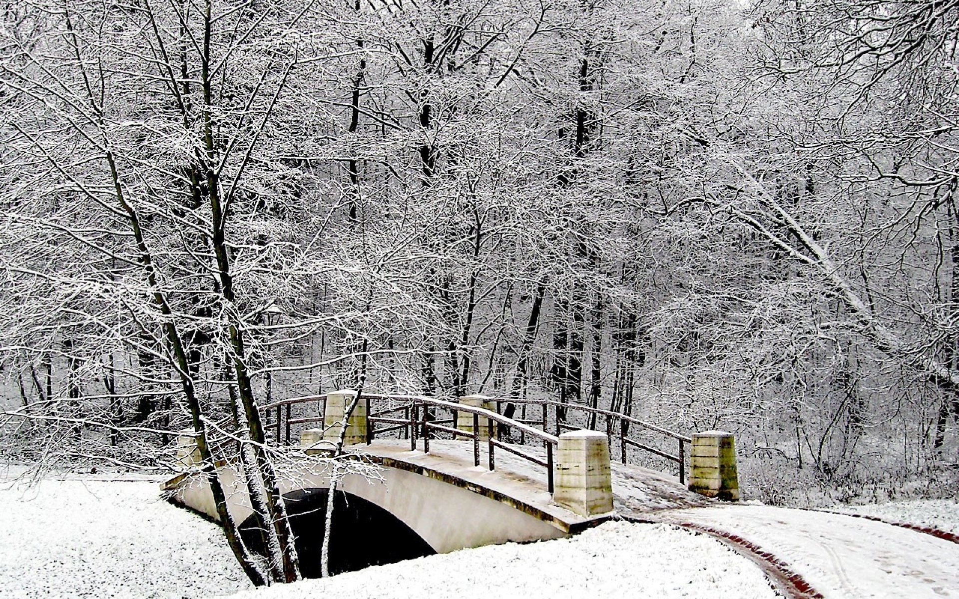 Картинки Парк, мост, зима, снег, иней фото и обои на рабочий стол