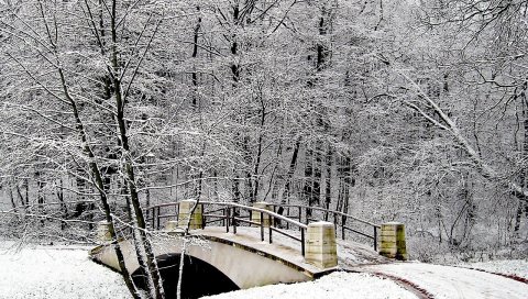 Парк, мост, зима, снег, иней