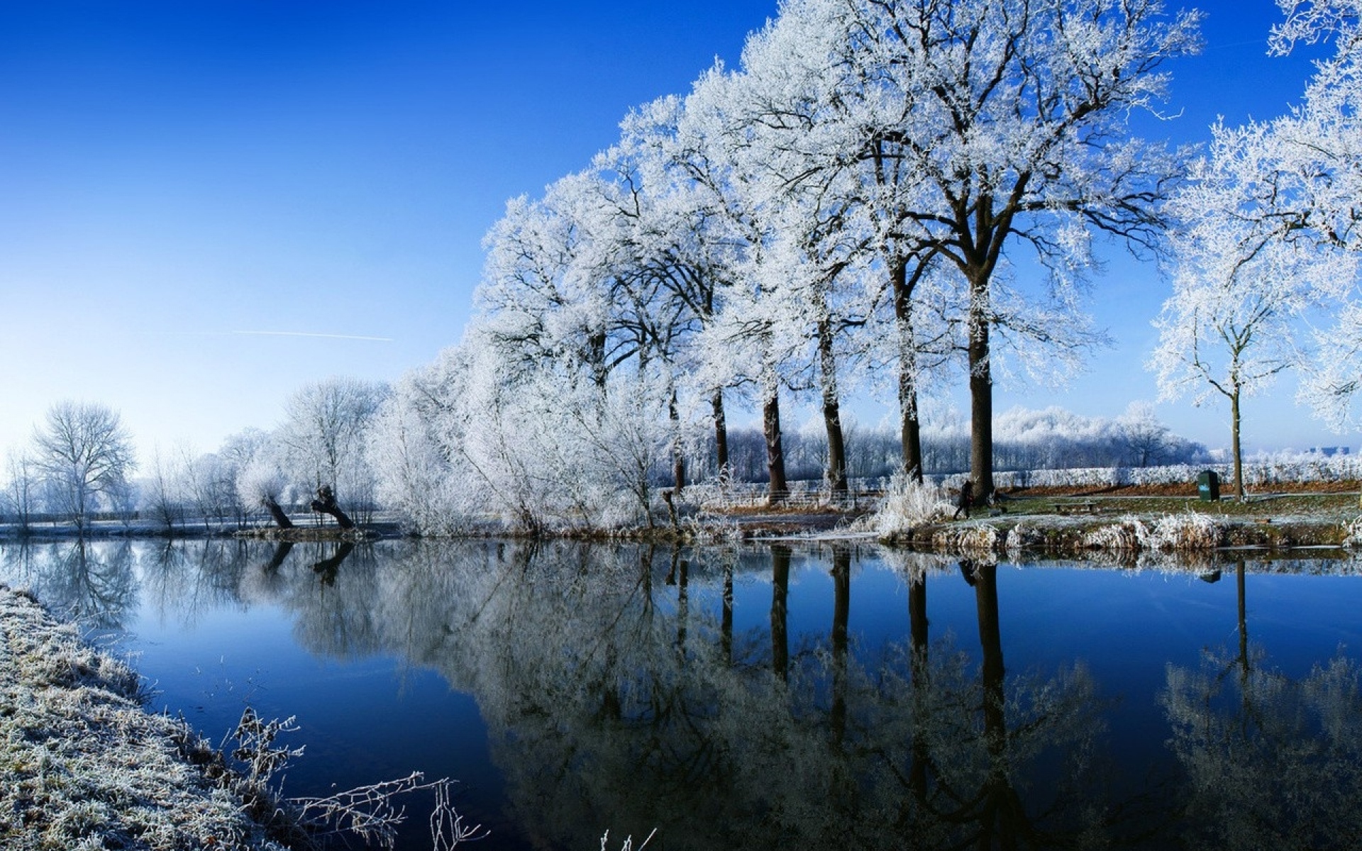 Картинки Река, деревья, иней, зима, отражение фото и обои на рабочий стол