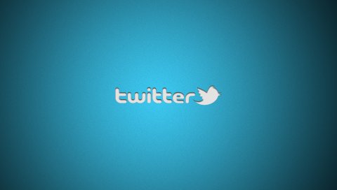 Твиттер, логотип, символ, птица, синий, социальная сеть