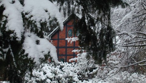 Дом, кирпич, елка, ветки, снег