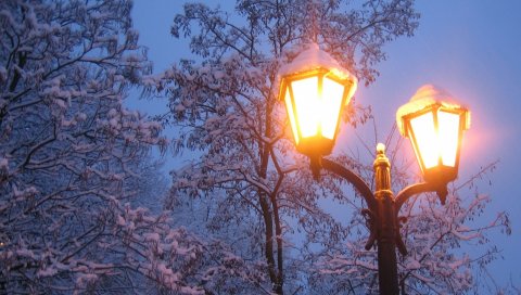 Фонарь, зима, снег, свет, деревья