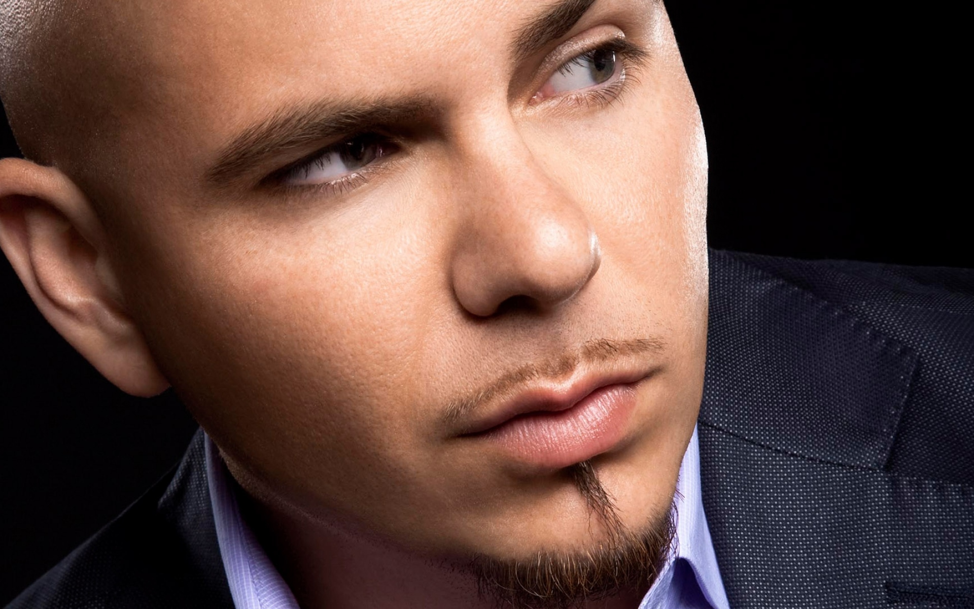 Pitbull chris brown