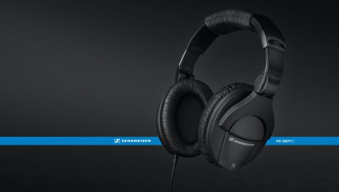 Наушники, sennheiser, hd280pro, фон, черный