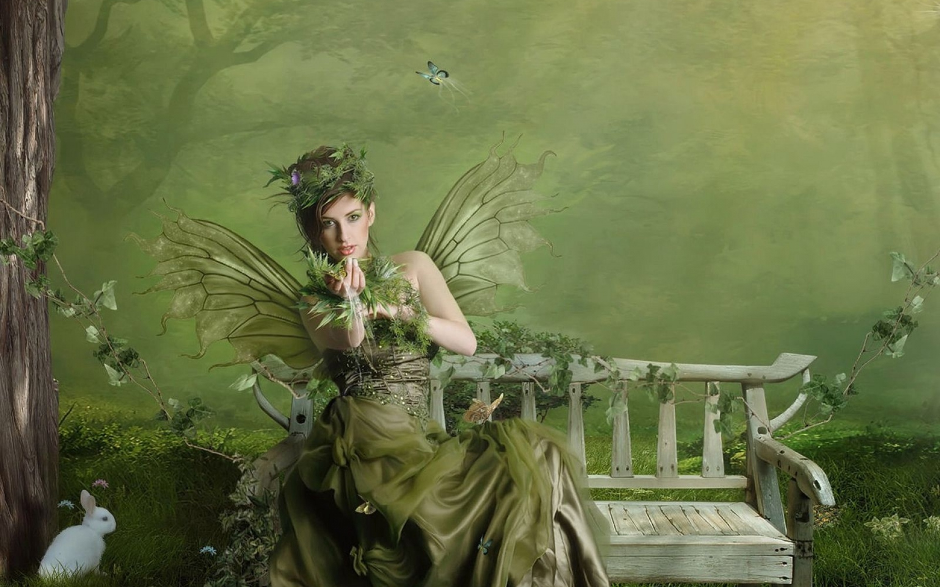 Картинки Девушка, фея, дерево, магазин, зеленый фото и обои на рабочий стол