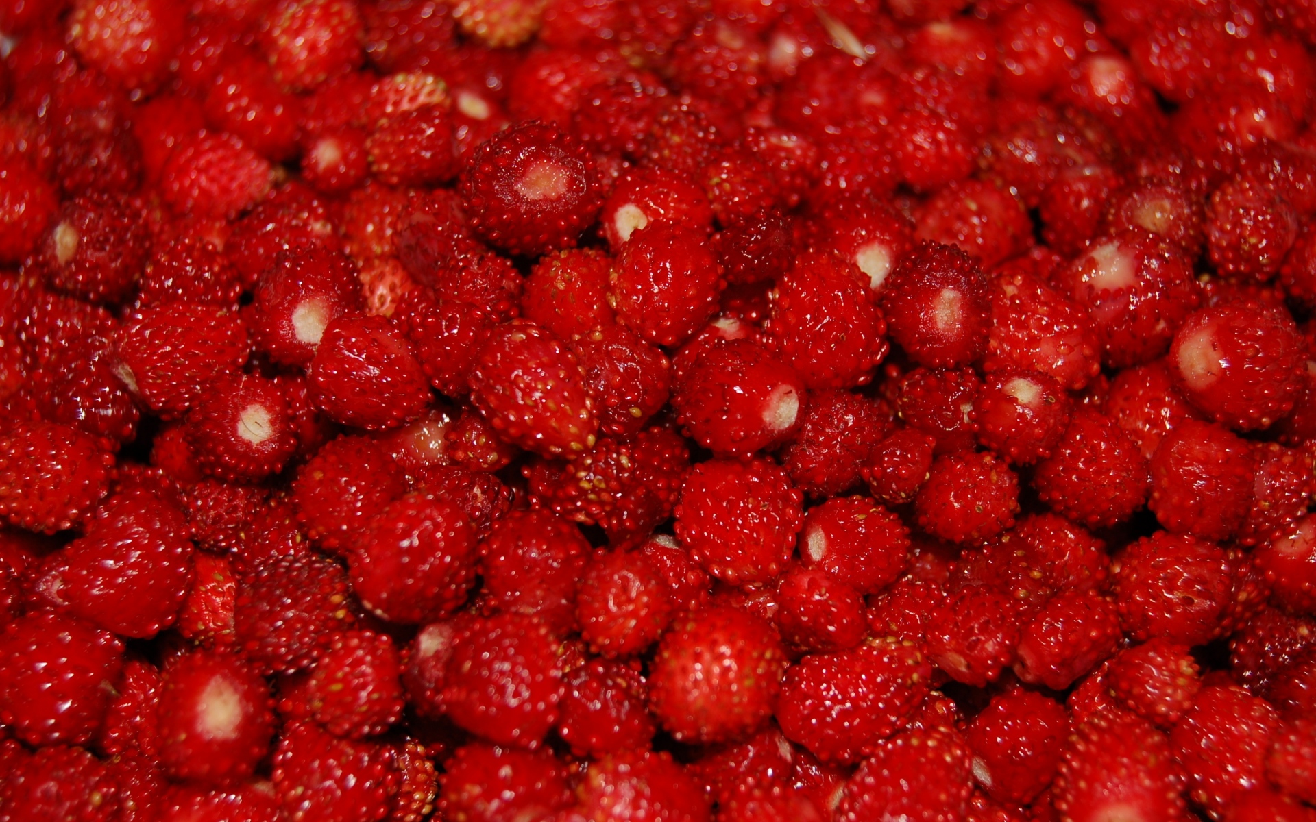 Картинки Клубника, красный, ягодный, спелый фото и обои на рабочий стол