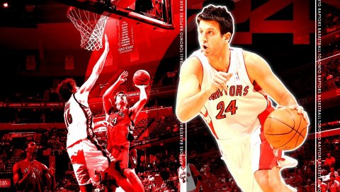 Jason kapono, toronto, баскетбол, игрок, мяч