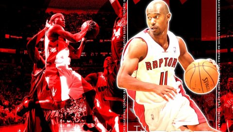 Tj ford, toronto, баскетбол, игрок, красный