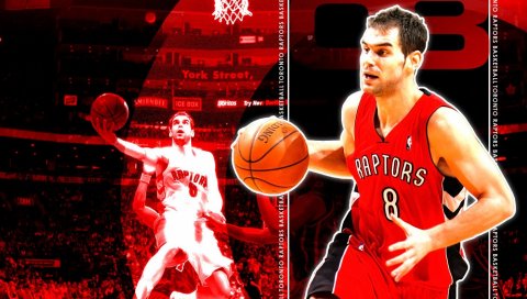 Jose manuel calderon, toronto, баскетбол, игрок, красный