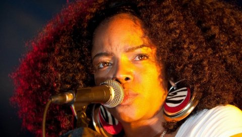 Leela james, лицо, волосы, серьги, взгляд