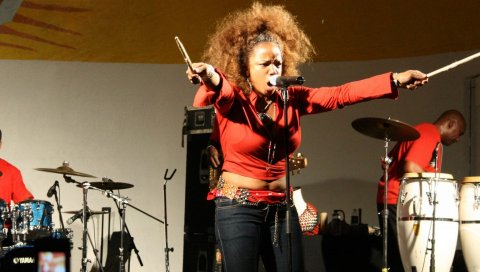 Leela james, action, drum, microphone, scene