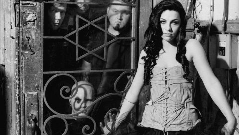 Evanescence, band, girl, look, hair