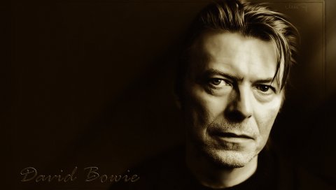 David bowie, взгляд, волосы, щетина, глаза