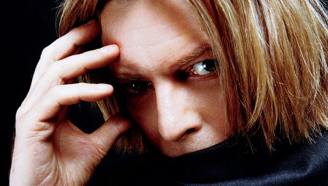 David bowie, взгляд, лицо, волосы, ладонь