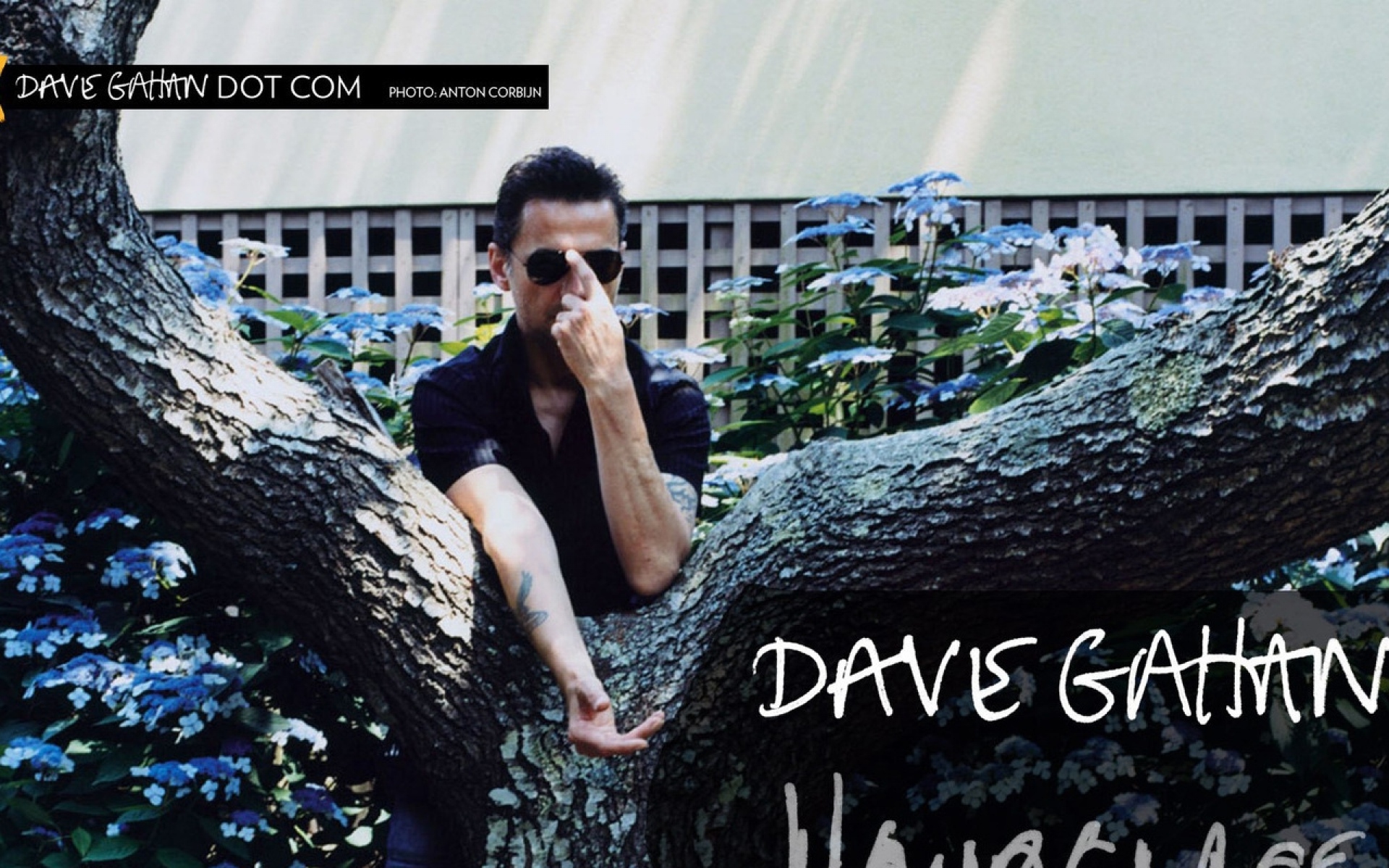 Картинки Dave gahan, дерево, очки, оружие, обложка фото и обои на рабочий стол