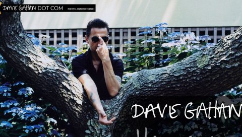 Dave gahan, дерево, очки, оружие, обложка