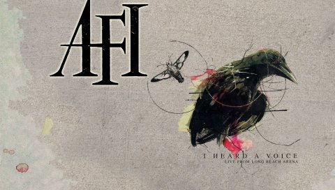 Afi, птица, насекомое, обложка, текст