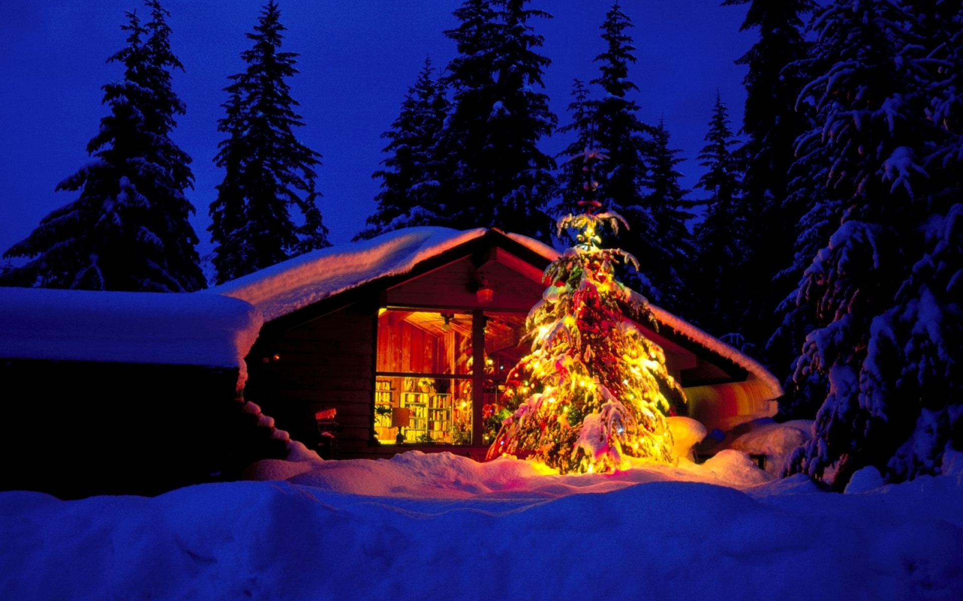 Картинки Новый год, рождество, елка, дом, окно, вид, пожары фото и обои на рабочий стол
