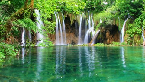 Вода, водопад, джунгли, лес