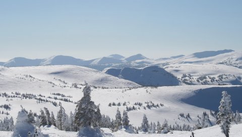 Зима, горы, склоны, деревья