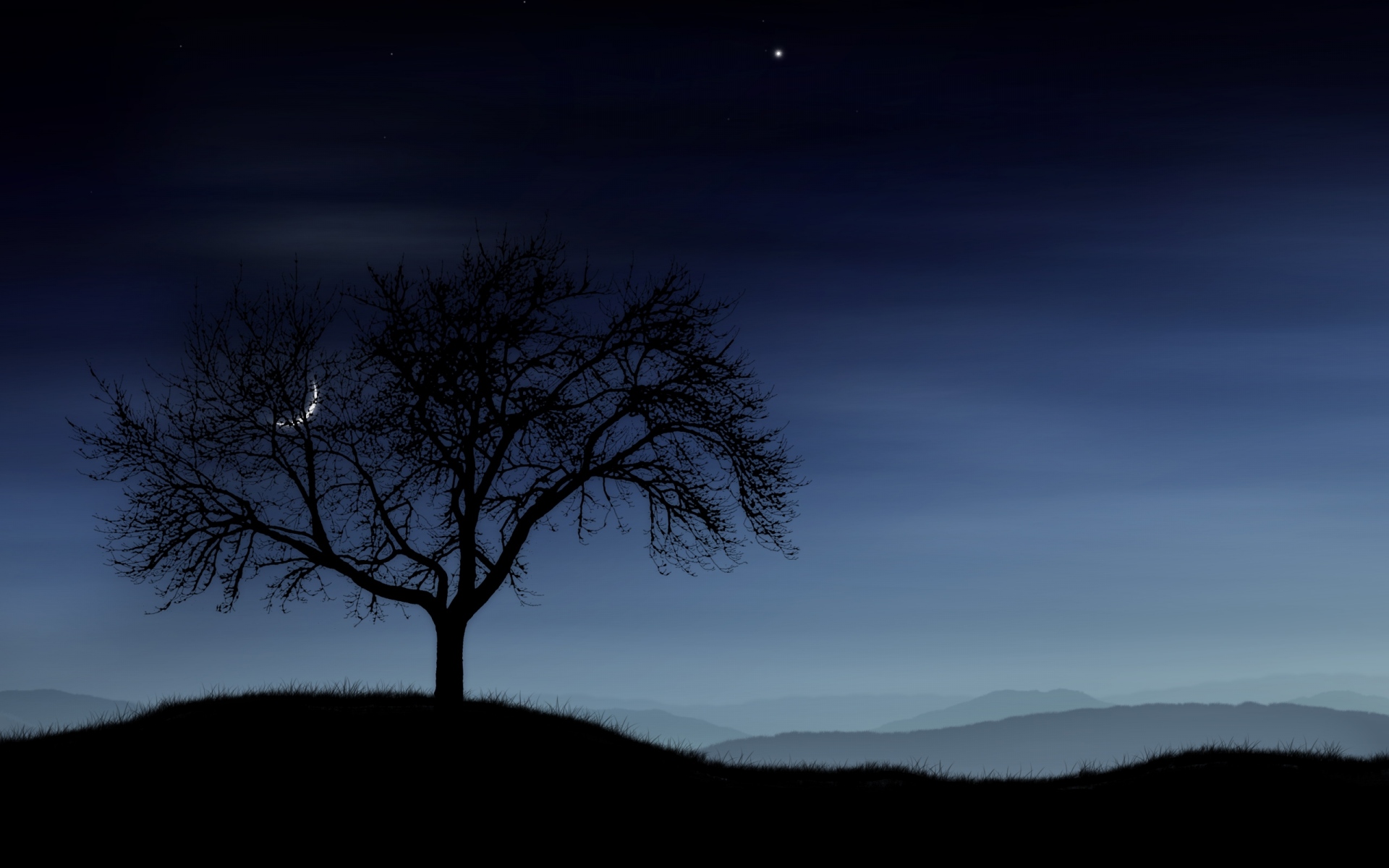 Картинки Дерево, ночь, одиночество, силуэт, звезды, луна, туман фото и обои на рабочий стол