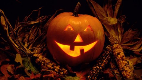 Хэллоуин, тыква, фонарик домкратов, атрибут, физиогномика, темнота, кукуруза, листья, свеча