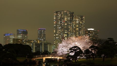 Токио, здание, ночь, городские огни