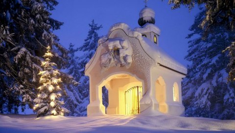 Германия, снег, зима, здание, лес
